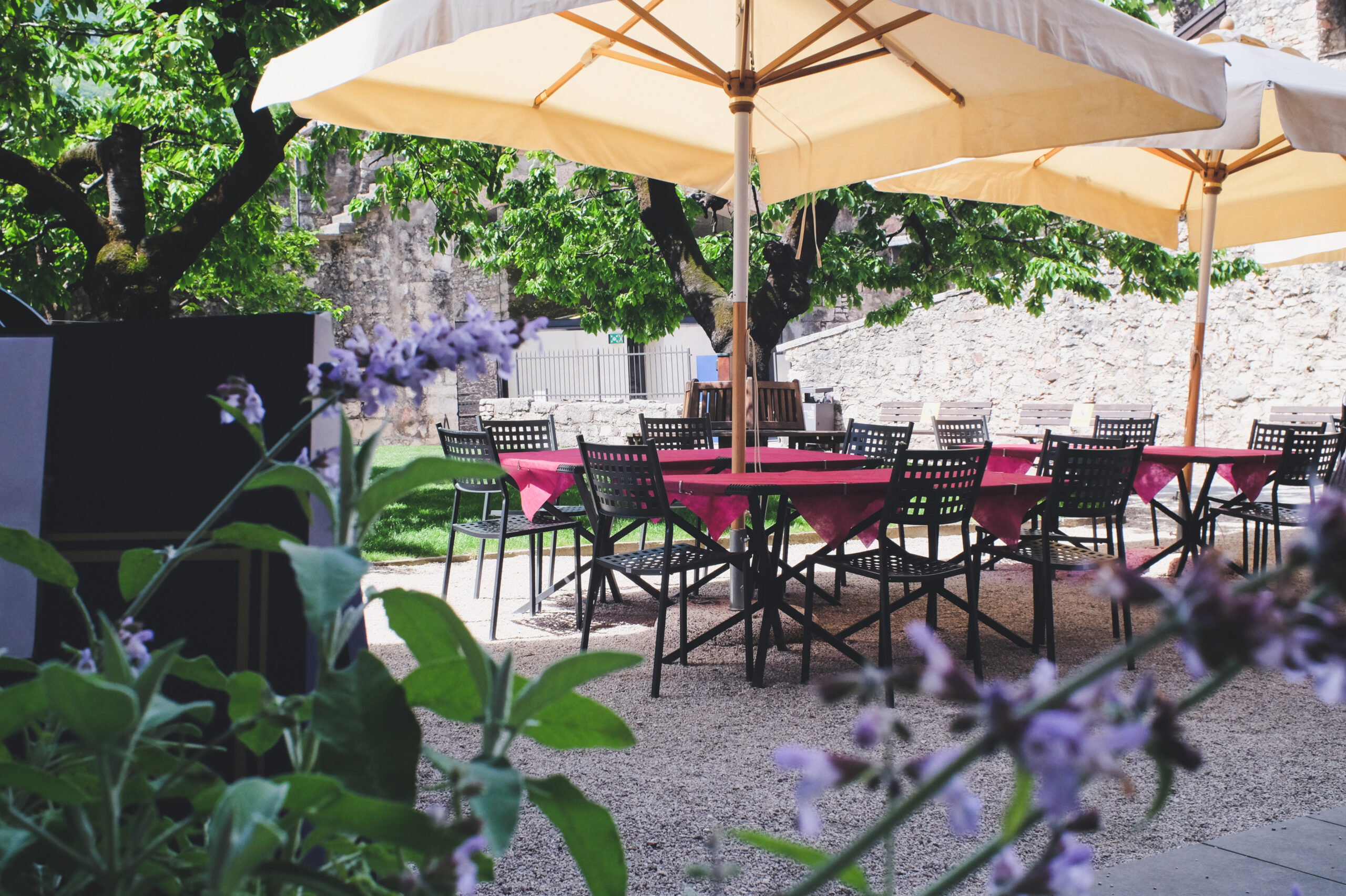 giardino barone